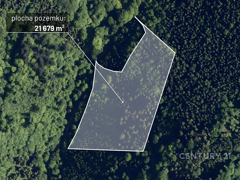 Prodej lesa 21679 m², Nýdek – náhled fotky 1
