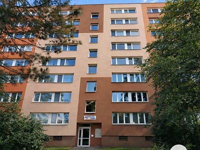 Pronájem bytu 1+1 35 m² (Jednopodlažní)
