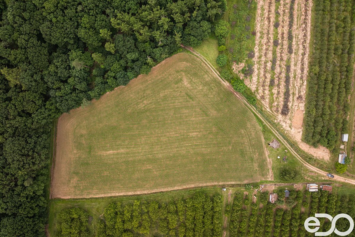 Prodej stavebního pozemku 11163 m² – fotografie 4
