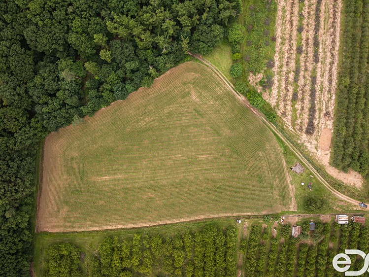 Grundstück zum Kauf, 11.163 m² (4 von 16)