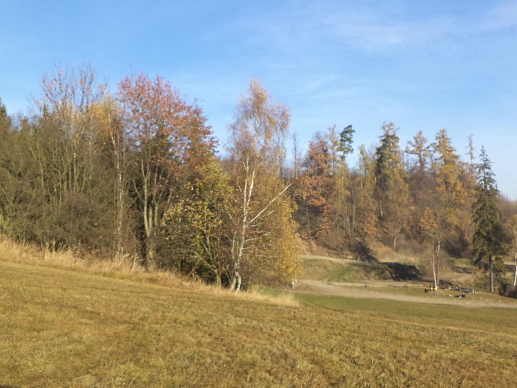 Grundstück zum Kauf, 60.778 m² (2 von 13)