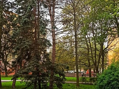 Pronájem bytu 1+1 37 m² (Jednopodlažní)