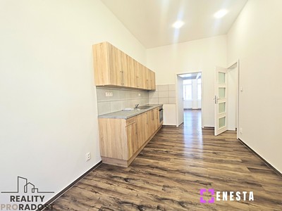 Pronájem bytu 1+1 46 m²