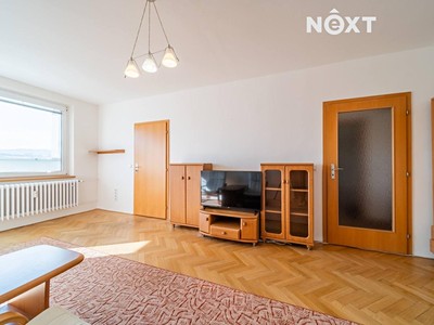 Pronájem bytu 1+1 45 m² (Jednopodlažní)