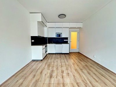 Pronájem bytu 1+kk 35 m²