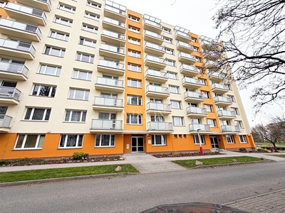 Pronájem bytu 1+kk 26 m² (Jednopodlažní)