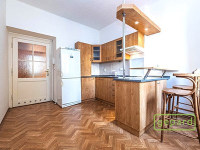 Prodej bytu 1+1 44 m² (Jednopodlažní)