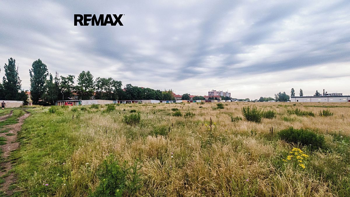Prodej pole 10874 m² – fotografie 5