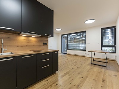 Pronájem bytu 1+kk 50 m²