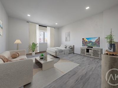 Pronájem bytu 1+1 45 m²