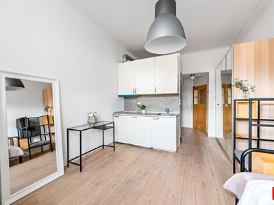 Pronájem bytu 1+kk 22 m² (Jednopodlažní)