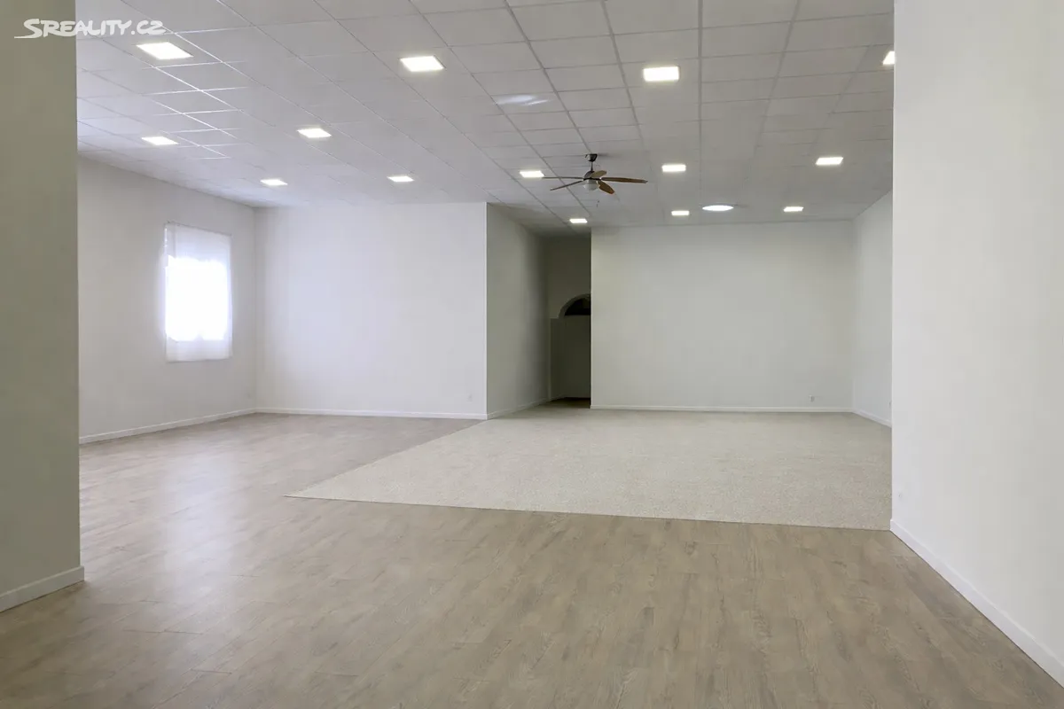 Pronájem obchodního prostoru 280 m² – pohled 3