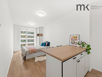 Pronájem bytu 1+kk 26 m²