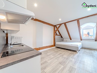 Pronájem bytu 1+kk 30 m²