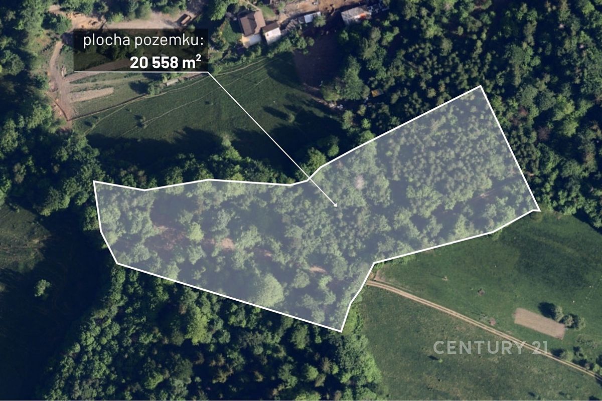 Prodej lesa 20558 m², Nýdek – fotka 1 z 3