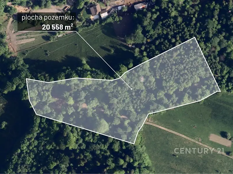 Prodej lesa 20558 m², Nýdek – náhled fotky 1