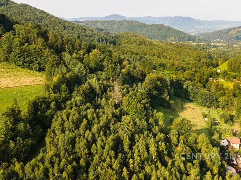 Prodej lesa 20558 m², Nýdek – náhled fotky 3