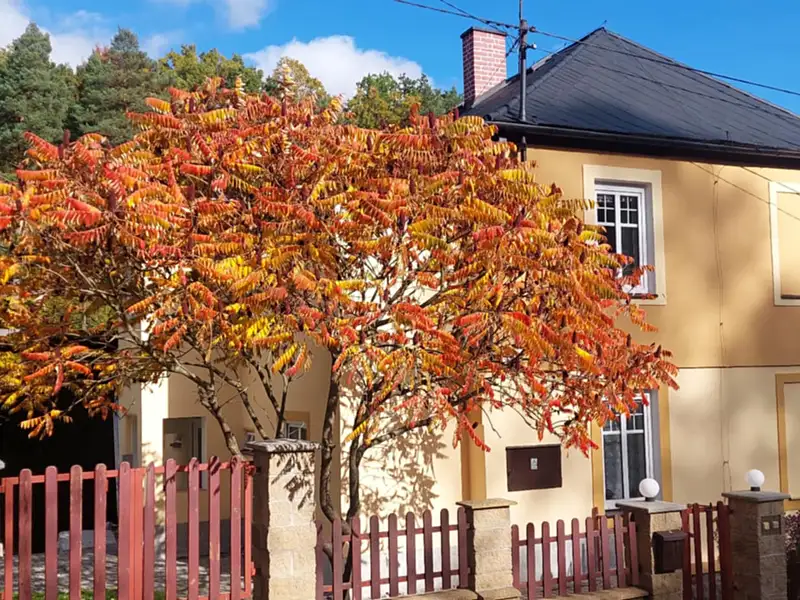 Prodej vily 190 m², pozemek 2800 m², Mikulovice – náhled fotky 3
