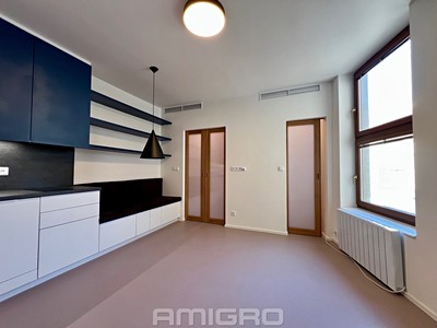 Pronájem bytu 1+kk 25 m²