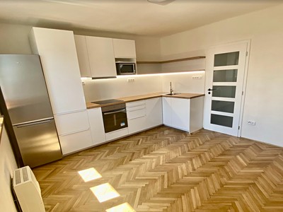 Pronájem bytu 2+kk 49 m² (Jednopodlažní)