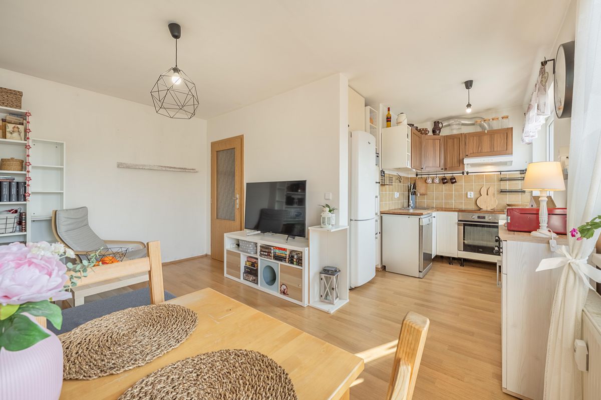 Prodej bytu 3+kk 58 m² (Jednopodlažní)