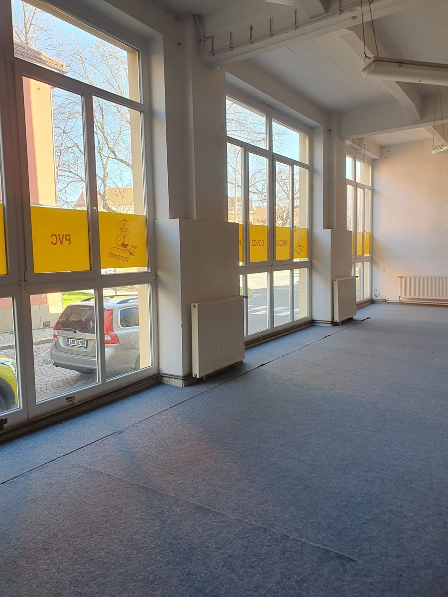 Pronájem obchodního prostoru 270 m² – fotografie 2
