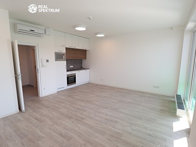 Pronájem bytu 1+kk 42 m²