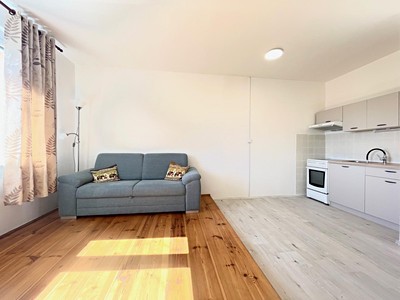 Pronájem bytu 2+kk 42 m² (Jednopodlažní)