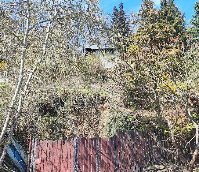 Grundstück zum Kauf, 701 m² (5 von 10)