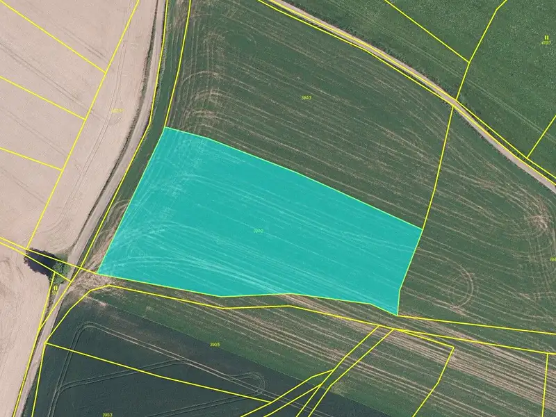 Prodej pole 8413 m², Stará Paka – náhled fotky 3