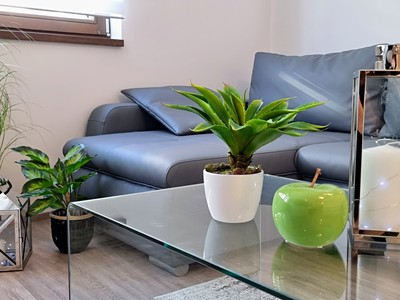 Pronájem bytu 1+kk 35 m² (Jednopodlažní)