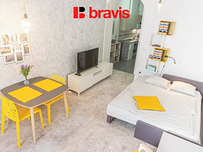 Pronájem bytu 1+1 30 m²