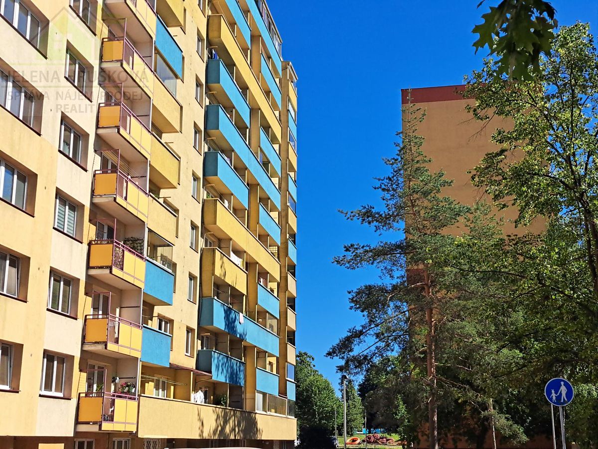 Pronájem bytu 1+1 28 m²