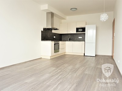 Pronájem bytu 2+kk 55 m²