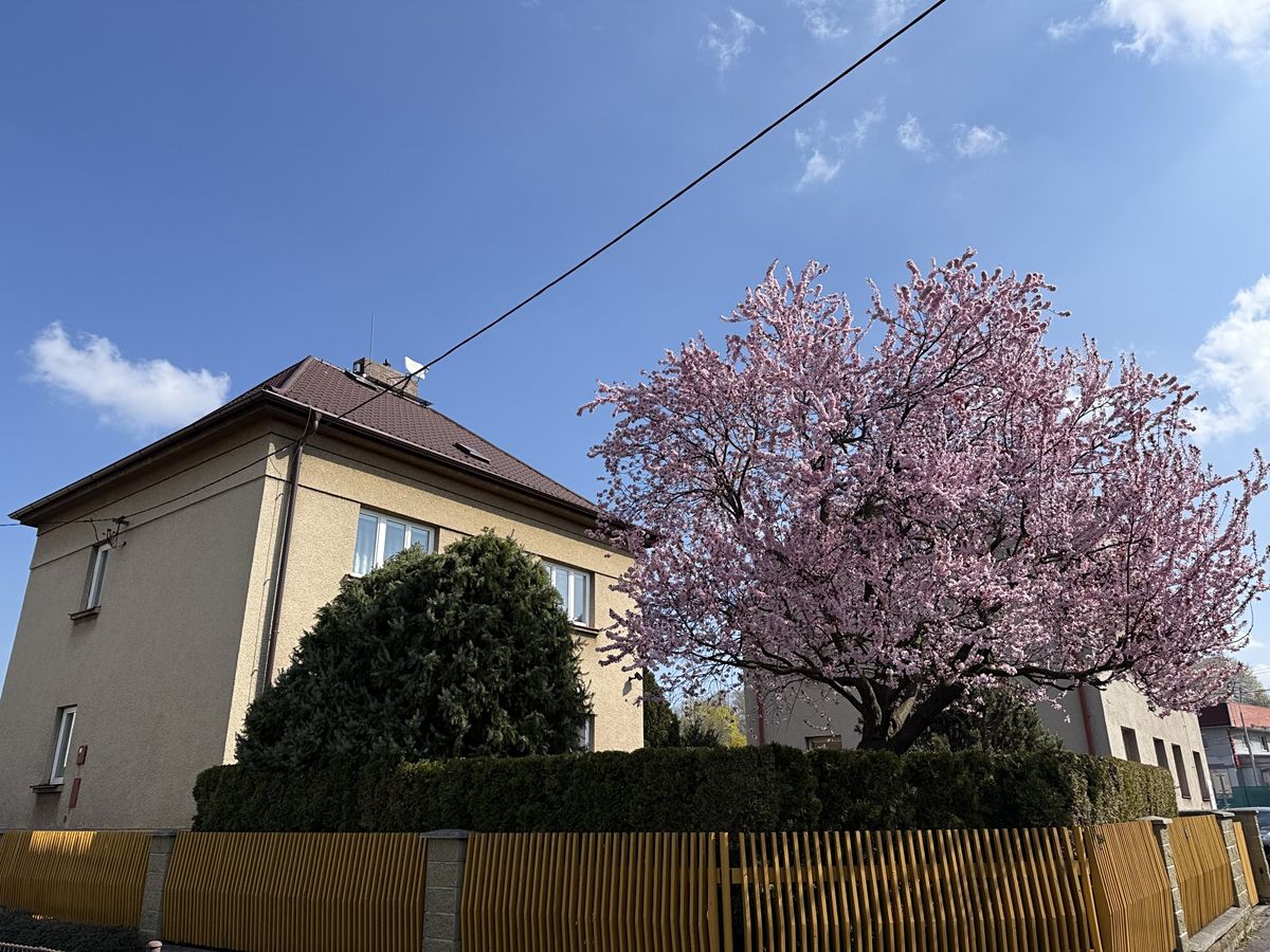 Prodej rodinného domu 429 m², pozemek 365 m²