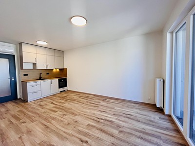 Pronájem bytu 1+kk 33 m² (Jednopodlažní)