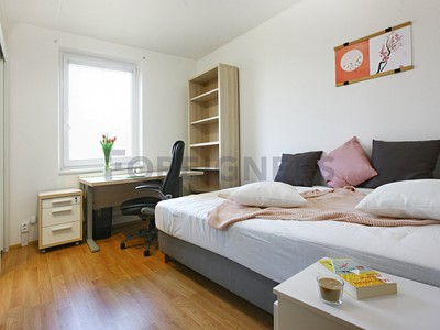 Pronájem bytu 3+1 71 m²