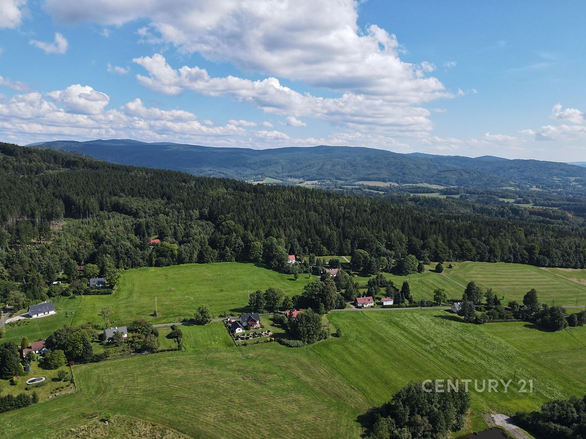 Prodej stavebního pozemku 3900 m² – fotografie 2