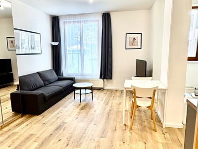 Pronájem bytu 1+kk 40 m² (Jednopodlažní)