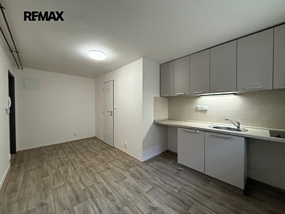 Pronájem bytu 1+kk 15 m² (Jednopodlažní)