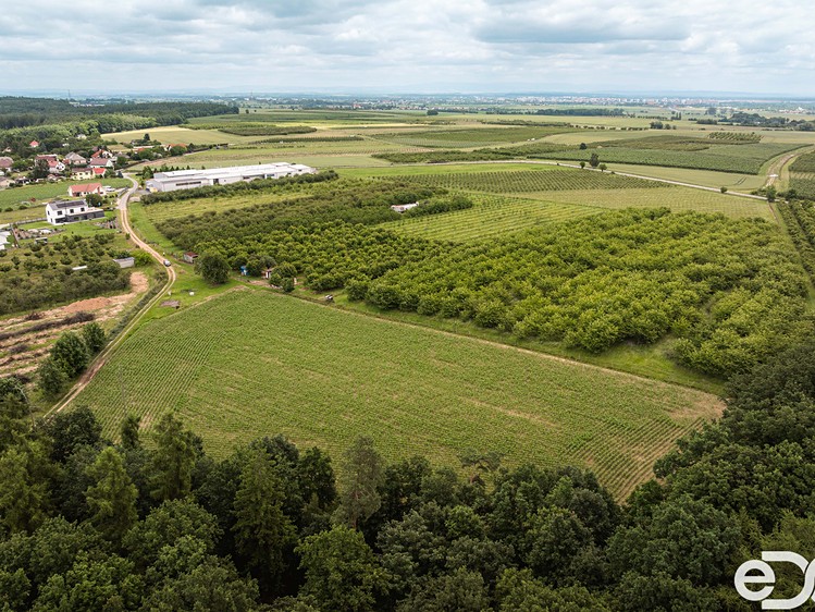 Grundstück zum Kauf, 11.163 m² (10 von 16)