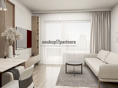 Prodej bytu 1+kk 29 m² (Jednopodlažní)