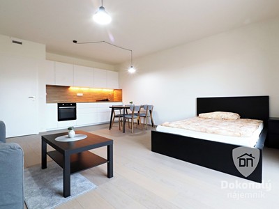 Pronájem bytu 1+kk 40 m²