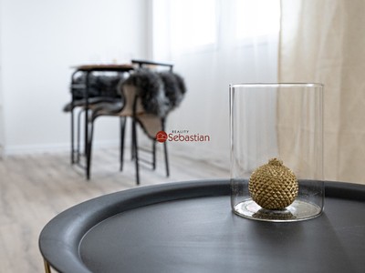 Pronájem bytu 1+1 36 m²