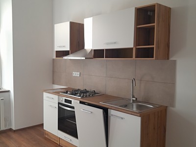 Pronájem bytu 1+1 49 m² (Jednopodlažní)