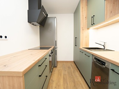 Pronájem bytu 2+kk 48 m²