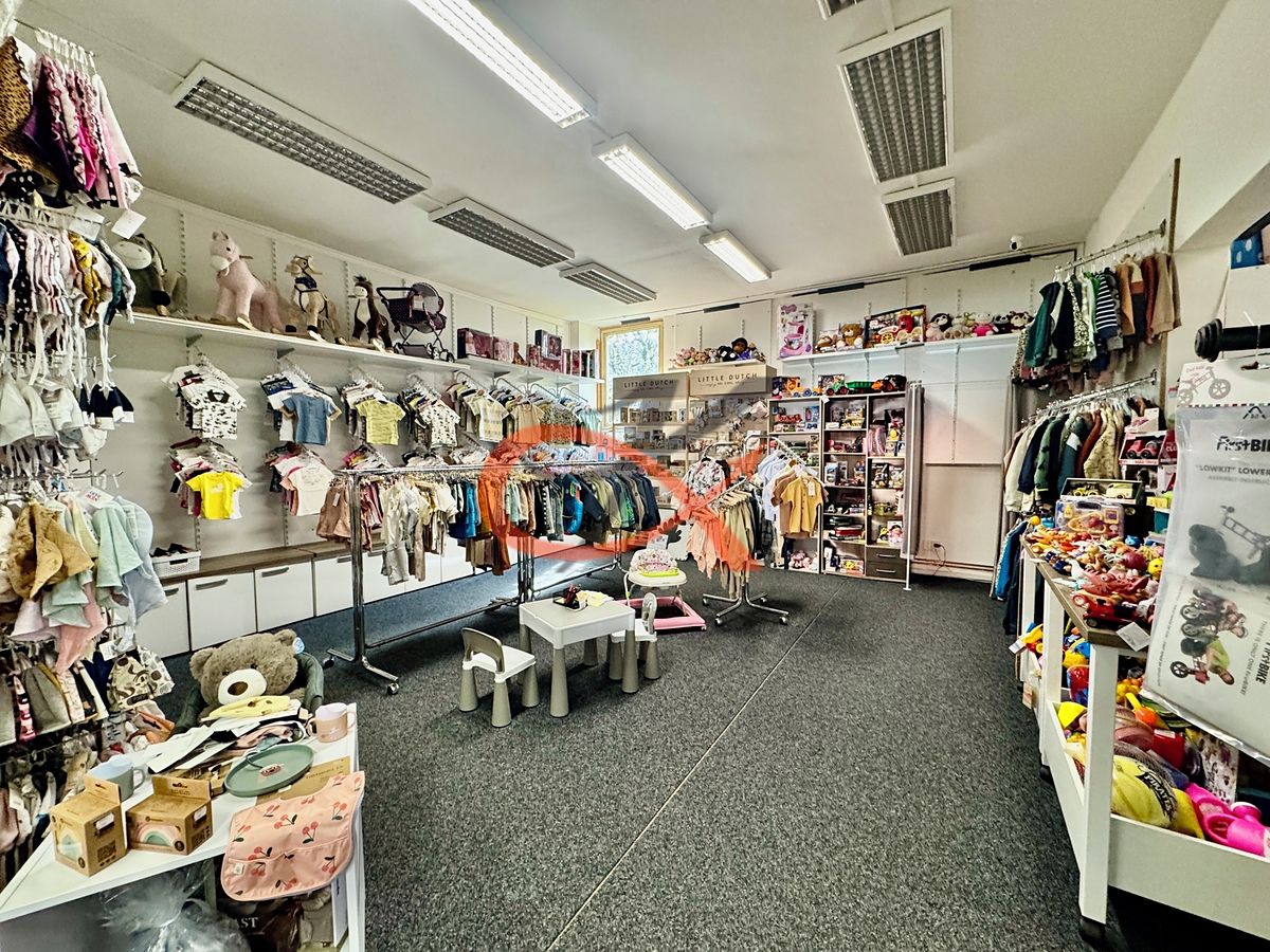 Pronájem obchodního prostoru 293 m² – fotografie 3