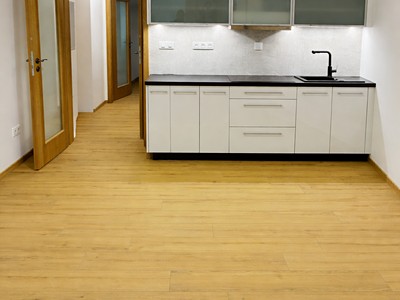 Pronájem bytu 1+1 36 m² (Jednopodlažní)