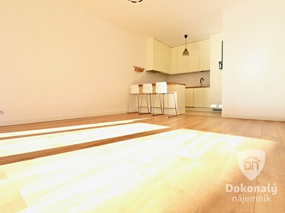 Pronájem bytu 3+kk 74 m²