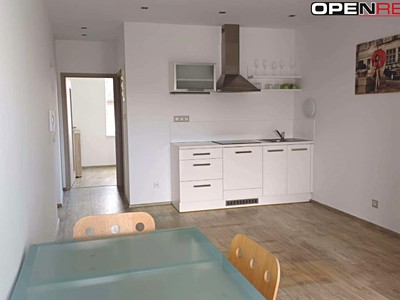 Pronájem bytu 1+1 41 m²